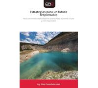 Estrategias para un futuro responsable: Hacia una minería verde basada en sostenibilidad, economía circular y cierre responsable