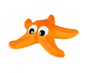 Estrela-do-Mar em Látex