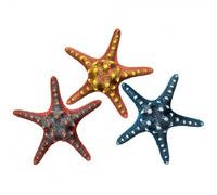 Estrella de mar decorativa para acuario