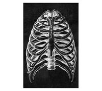 Estructura anatómica humana moderna, diagrama esquemático, órgano médico, estructura del músculo esquelético, gráfico de pared, cartel anatomía todo el cuerpo(1,20x24cm No Frame)