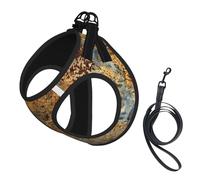 Estructura de Hierro y Acero Oxidado de Metal Colorido con óxido marrón,Arnés para Mascotas, arnés Reflectante Ajustable para Perros,L