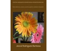 Estrutura Organização Da Educação Nacional Nos Municípios Brasileros (