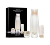 Estuche Absolute Silk Micro Essence
