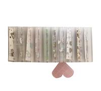 Estuche de almacenamiento de láminas para transferencia de uñas: contenedor de almacenamiento para decoración de uñas, organizador de rollos para hojas de lámina, estuche acrílico con múltiples