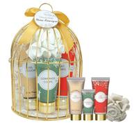Estuche de cuidado corporal de invierno para mujer - Kit Cocooning para exfoliante de té verde, leche corporal, manzana de amor, gel de ducha de vainilla picante, flor de ducha incluida - Cuidado del