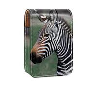 Estuche de lápiz labial personalizado portátil bolsa de maquillaje bolsa de cosméticos soporte lápiz labial organizador de maquillaje cebra animal África vida silvestre, Varios colores, 9.5x2x7 cm/3.7x0.8x2.7 in