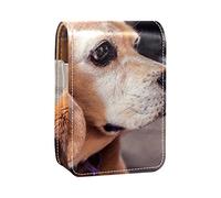 Estuche de lápiz labial personalizado portátil bolsa de maquillaje bolsa de cosméticos soporte lápiz labial organizador de maquillaje pequeño perro beagle mascota animal lindo, Varios colores, 9.5x2x7 cm/3.7x0.8x2.7 in