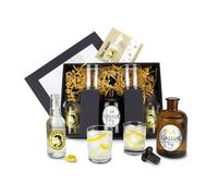 Estuche de Römer Präsente: Gin-Tonic 8 piezas; 1 botella original de boticario llena de Gin Gallus 43 (0,5 L) + 1 tapón de cristal + 2 Tonic Water + 2 vasos + 1 folleto de recetas + caja de regalo