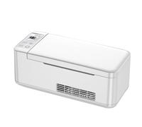 Estuche De Viaje Para Refrigerador De Insulina, Estuche De Viaje Para Medicamentos Refrigerados Portátiles, Mini Refrigerador Para Automóvil De Gran Capacidad.