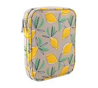 Estuche para Agujas de Crochet, Organizador Portátil 18x3.5x23 cm (7.1x1.4x9.1 in) con Bolsillo de Malla y Tela Oxford 600D