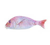 Estuche para lápices con forma de pez, estuche de maquillaje, estuche de accesorios, caja de accesorios, caja de accesorios, juguete de peces, rojo, ecológico y práctico