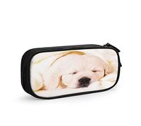 Estuche para lápices durmiendo Golden Retriever, gran capacidad, gran capacidad, soporte para bolígrafos, suministros escolares, papelería, organizador de almacenamiento para oficina, estudiantes, niñas y niños