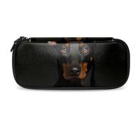 Estuche para lápices, estuches para lápices, estuche para bolígrafos, C50v2ac2ele, 7.5x3x1.5 in, Multifuncional: