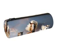 Estuche para lápices, estuches para lápices, estuche para bolígrafos, K88p2rt8vxl, 7.9x2.5 in, Multifuncional: