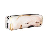 Estuche para lápices para niños y niñas, caja de lápices Golden Retriever durmiendo de gran capacidad, soporte para marcadores de bolígrafos, bolsa organizadora de papelería, color,