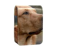 Estuche portátil con diseño de perro para viajes, mini caja de almacenamiento de lápiz labial con espejo para mujeres y mujeres, bolsa de cosméticos de cuero, Varios colores, 9.5x2x7 cm/3.7x0.8x2.7 in