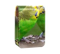 Estuche portátil para lápiz labial, mini caja de almacenamiento de lápiz labial, estuche organizador de lápiz labial con espejo para mujeres, pájaros de amor, periquitos, beso, Varios colores, 9.5x2x7 cm/3.7x0.8x2.7 in