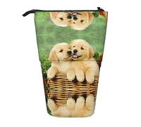 Estuche telescópico para lápices, estuche de papelería, estuche para lápices de pie, para escuela, oficina, mapache en el agujero del árbol de otoño, Puppy Golden Retriever, Talla única, Compacto