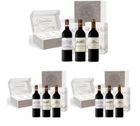 Estuche - Vino Tinto - Coffret Crus Bourgeois Châteaux Castel: Château Barreyres - Château d'Arcins - Château Tour Prignac - 3 x 75 cl (Paquete de 3)