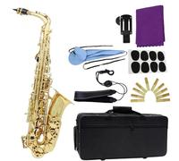 estudiante de saxofón Amantes De La Música Eb Saxofón Alto Latón Lacado Oro E Flat Saxofón Musical Con Estuche Accesorios Para Boquilla (Color : Gold)