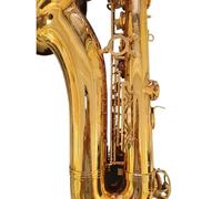 estudiante de saxofón B-key Saxofón Tenor Profesional Patrón De Grabado Profundo Avanzado Saxo Tenor Tono De Calidad Profesional (Color : Canvas bag)