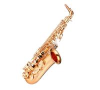 estudiante de saxofón Instrumento De Saxofón Alto Para Principiantes Adultos E Bemol Rendimiento Profesional De Latón