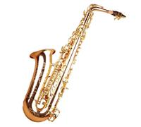 estudiante de saxofón Instrumento De Saxofón Para Principiantes, Prueba De Rendimiento De Saxofón Alto Bemol Para Adultos