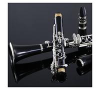 estudiantes clarinete El Clarinete B-flat Es Adecuado Para Principiantes Instrumento De Prueba Para Estudiantes De Nivel Básico Profesional Clarinete (Color : Bakelite)