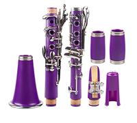 estudiantes clarinete Púrpura ABS Clarinete Bb Cuproníquel Plateado Níquel 17 Llave Con Paño De Limpieza Guantes Instrumento De Viento De Madera Profesional Clarinete