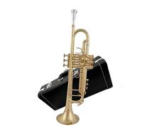 Estudiantes Tocan Trompeta En Si Bemol Banda General Tocando Instrumentos Musicales Para Principiantes En Examen Profesional trompeta instrumento de metal
