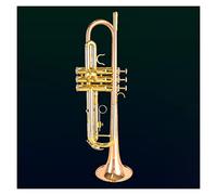 Estudiantes Trompeta Bb Tune Fósforo-bronce Campana Estándar Trompeta Instrumento De Latón Instrumento De Viento Principiante Profesional Trompeta Estándar