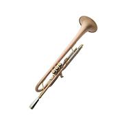 Estudiantes Trompeta Trompeta Profesional Instrumento Musical B-flat Fósforo-bronce Cuerno Agravado Trompeta Principiante Adulto Banda Trompeta Estándar