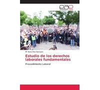 Estudio de los derechos laborales fundamentales: Procedimiento Laboral