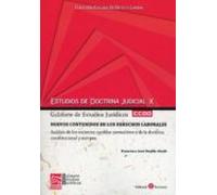 Estudios De Doctrina Judicial X. Nuevos Contenidos En Los Derechos Lab