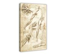 Estudios del cuerpo humano - Músculos del brazo y el pie de Leonardo Da Vinci Póster para dormitorio, lienzo decorativo impreso, arte de pared, oficina, habitación, decoración estética