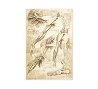 Estudios del cuerpo humano - Músculos del brazo y el pie de Leonardo Da Vinci Póster para dormitorio, lienzo decorativo impreso, arte de pared, oficina, habitación, decoración estética