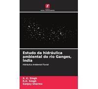 Estudo da hidráulica ambiental do rio Ganges, Índia: Hidráulica Ambiental Fluvial