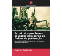 Estudo dos problemas causados pela perda de fluidos de perfuração: devido à instabilidade do poço num dos campos petrolíferos iranianos
