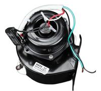 Estufa De Gas con Ventilador WGFJ-G022 con Piezas De Horno con Ventilador