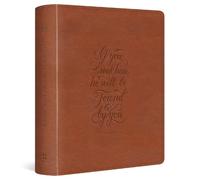 ESV ESV Journaling Study Bible (de piel falsa) (Importación USA)