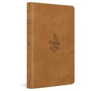 ESV Large Print Value Thinline Bible