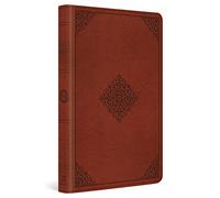 ESV Large Print Value Thinline Bible