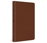 ESV Large Print Value Thinline Bible