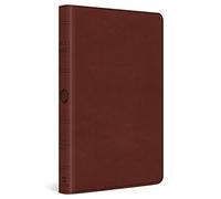 ESV Large Print Value Thinline Bible
