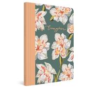 ESV Prayer Journal: 30 Days on Evangelism (Paperback)