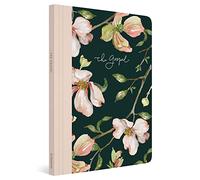 ESV Prayer Journal: 30 Days on the Gospel (Paperback)