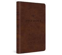 ESV Premium Church Bible, Large Print (de piel falsa)