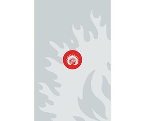 ESV Reformation Study Bible, Student Edition, Gray