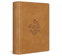 ESV Single Column Journaling Bible, Large Print