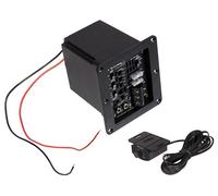 ESX POWER2 Mono Amplificador Clase D Módulo Activo 4/2Ohm para Carcasa...